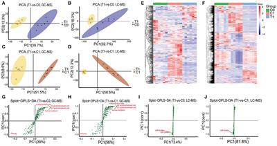 A New Perspective on the Antimicrobial Mechanism of Berberine Hydrochloride Against Staphylococcus aureus Revealed by Untargeted Metabolomic Studies